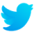 twitter (1)